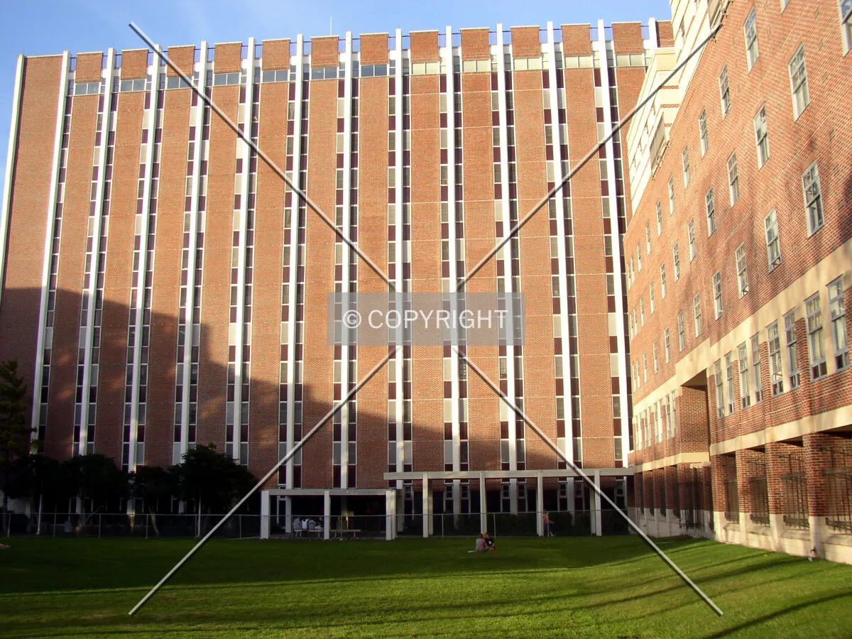 Looking north accross the Loyola Quad
