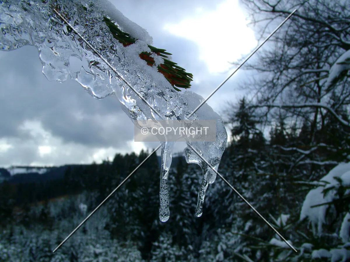 winter impression - icicles