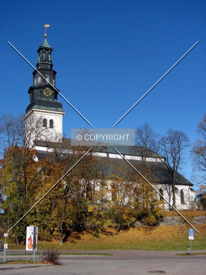 View from the south