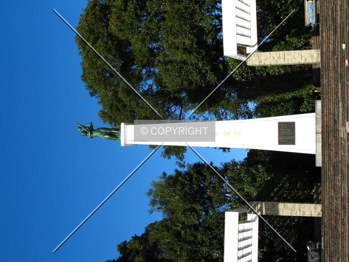 Photo 060-793-527
