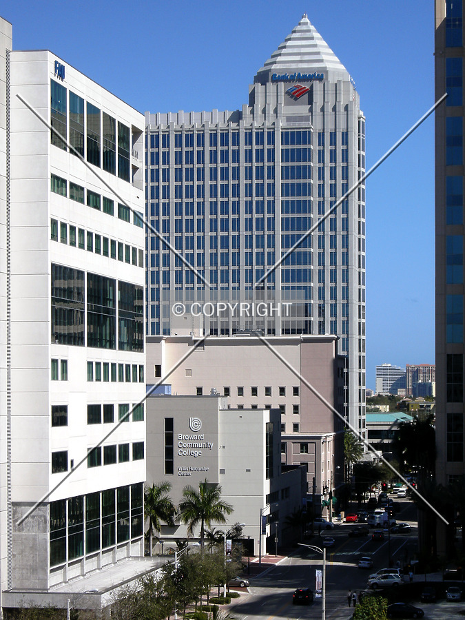 View from the west