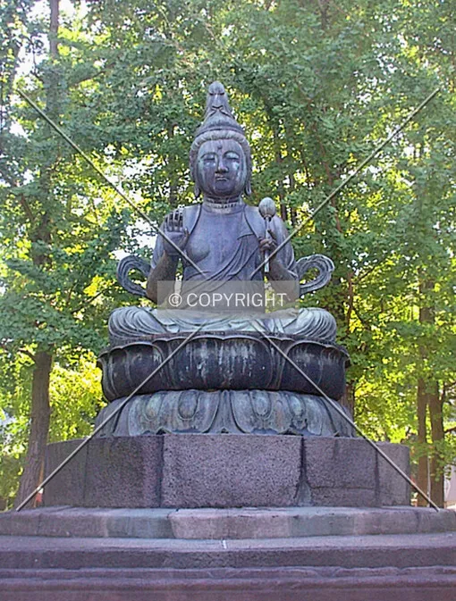 Photo 609-069-982