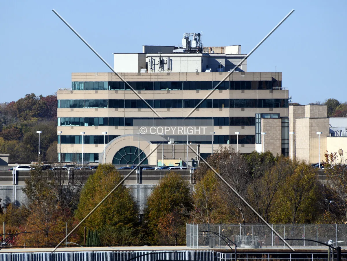 View from the southeast