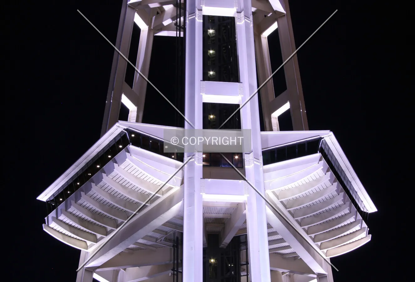 Looking up at night