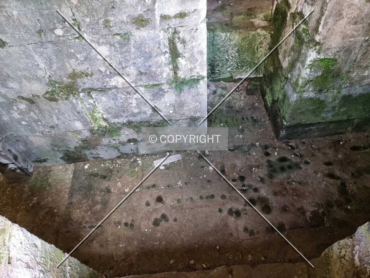 Photo 610-045-899
