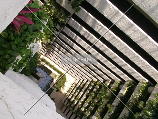 Looking down the atrium