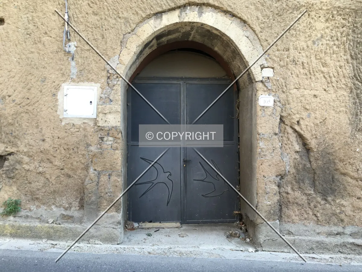 Photo 610-972-792