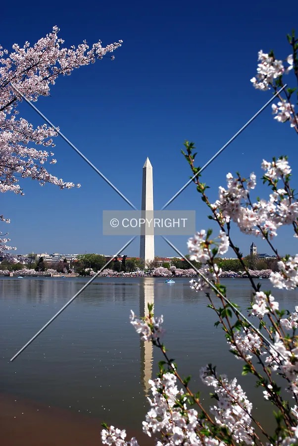 Viewed across the Tidal Basin