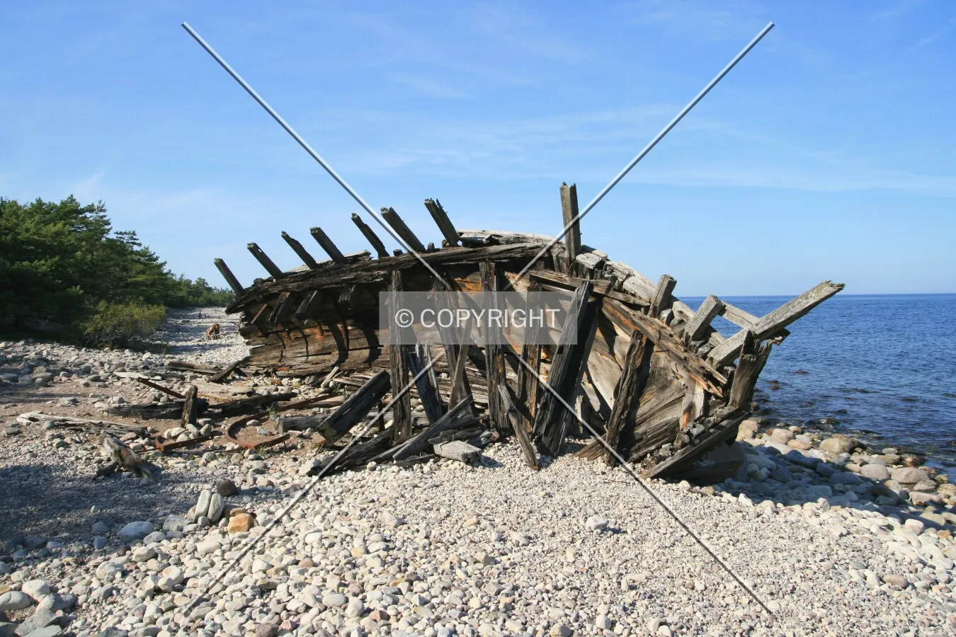 Shipwreck Swiks