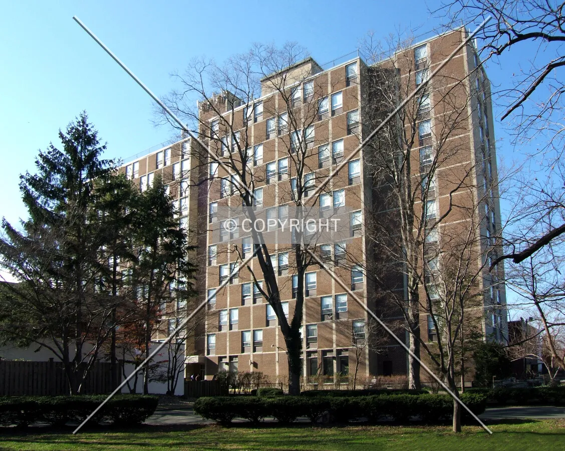 View from the east