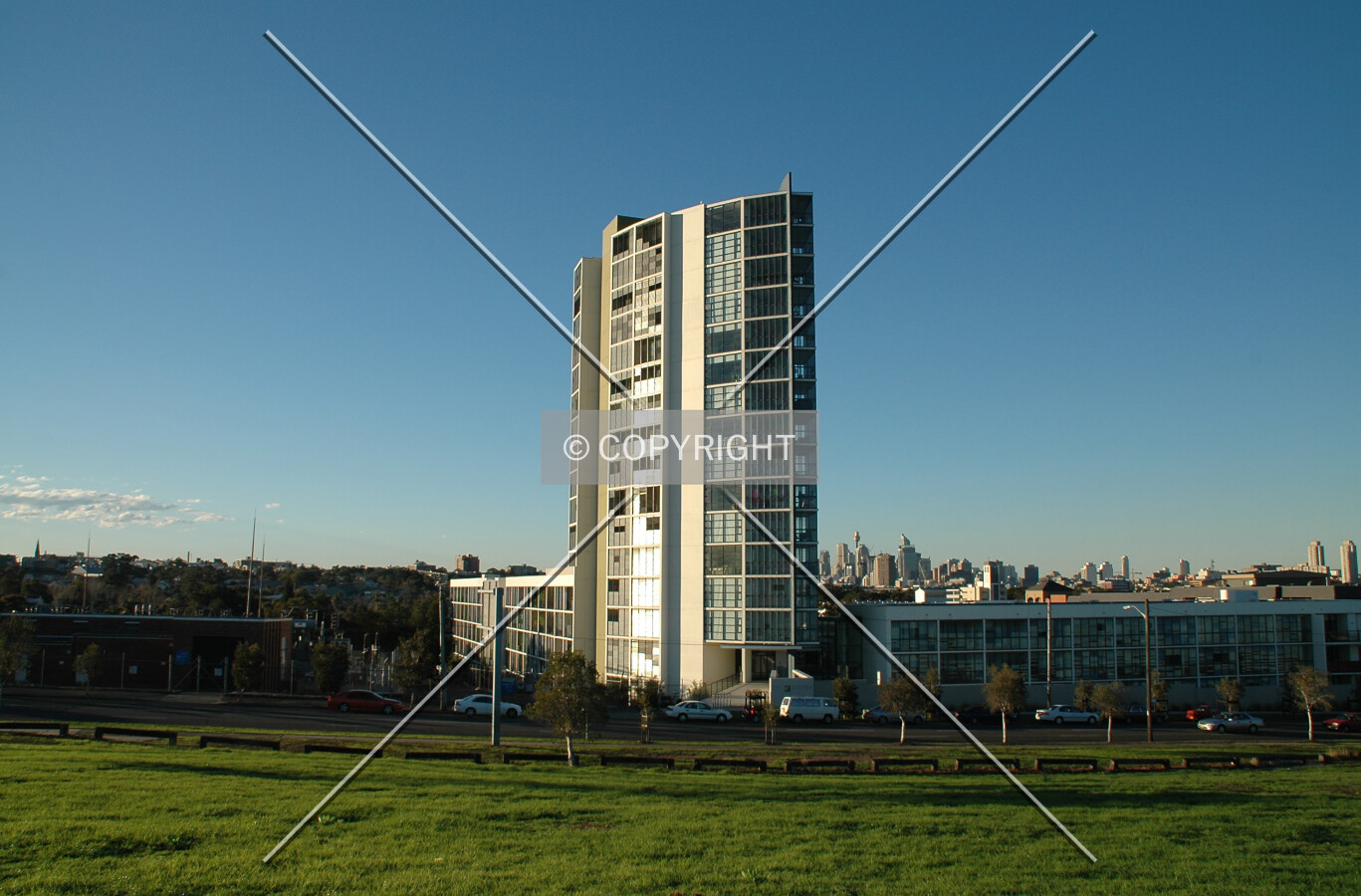 Looking north from Sydney Park