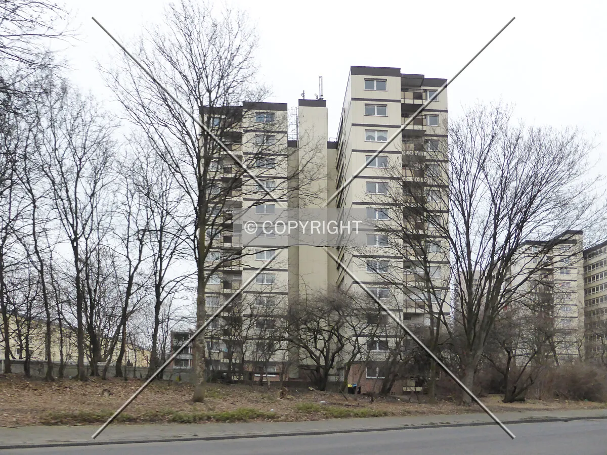 Photo 612-051-747