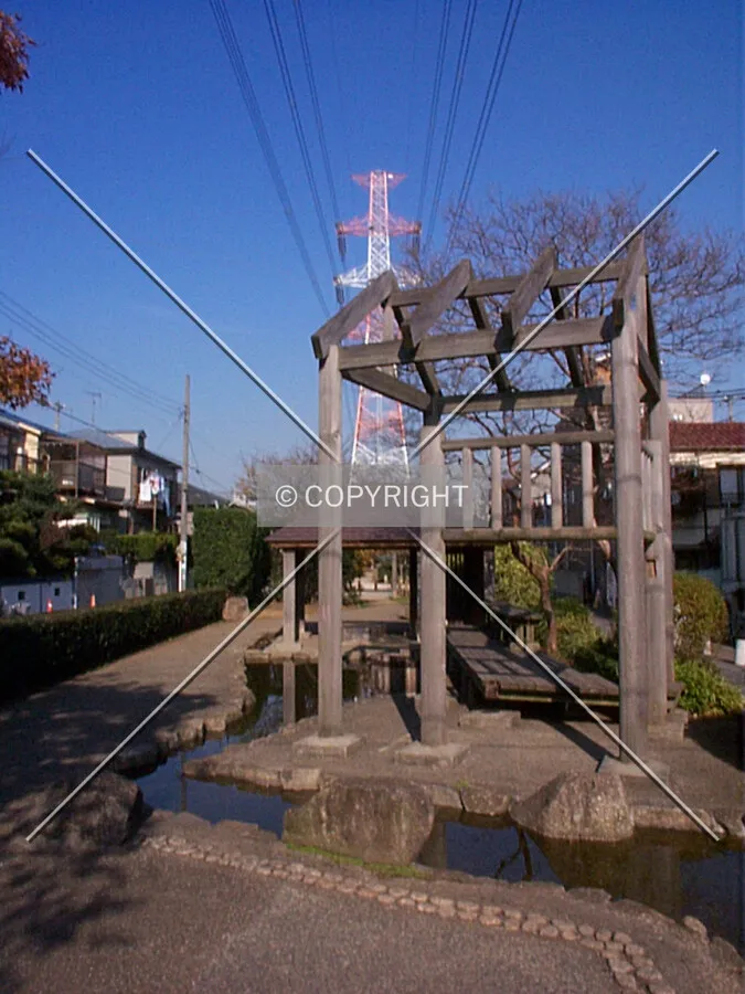 Photo 612-143-980