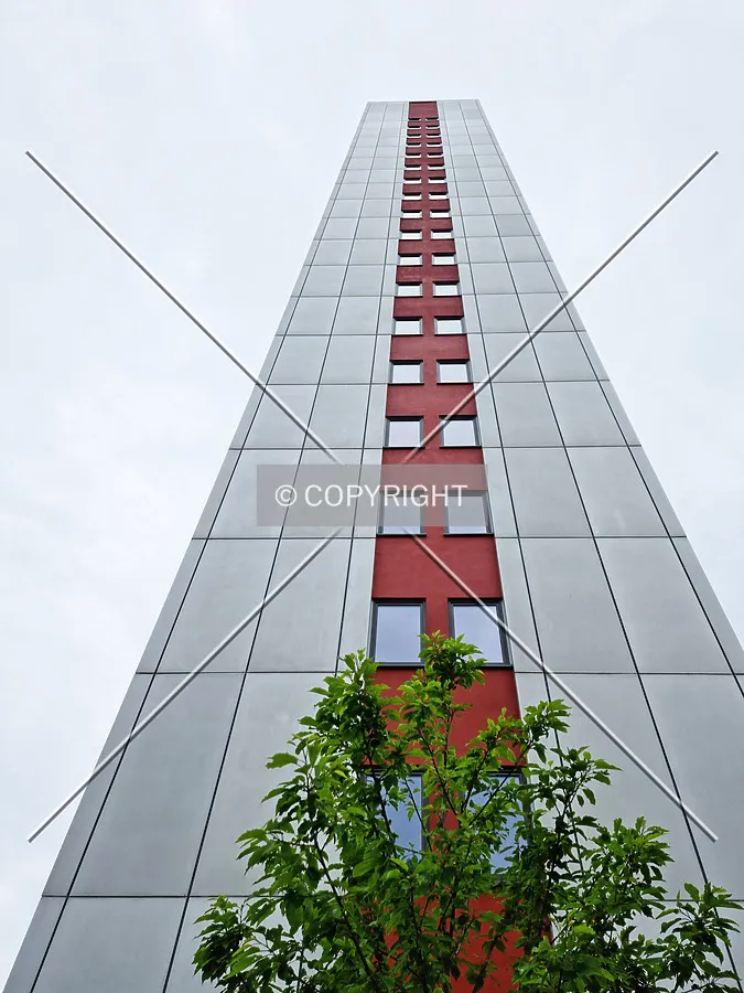 Photo 612-255-290
