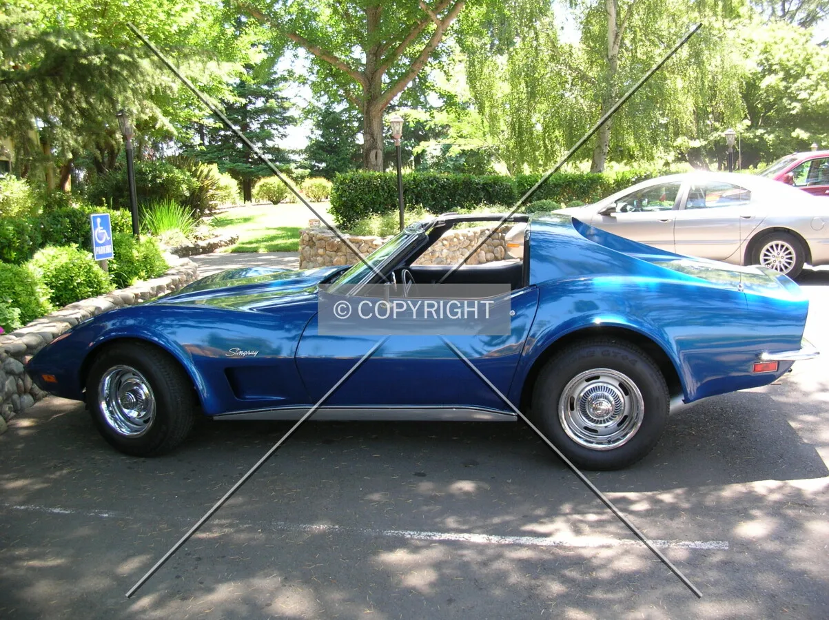 Chevrolet Corvette Stingray.