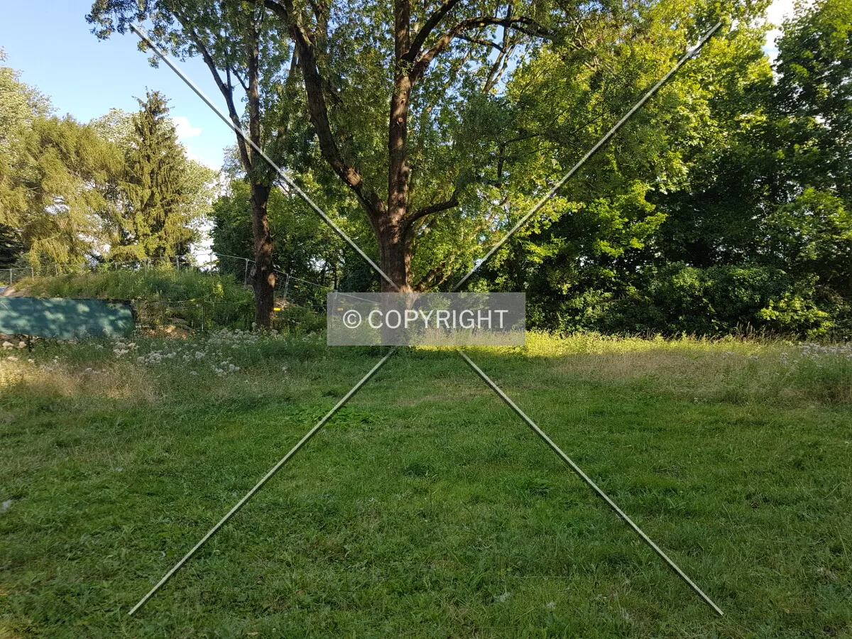 Lawn at Schule am Sommerhoffpark - between Sommerhoffpark and new Fizz dormitory