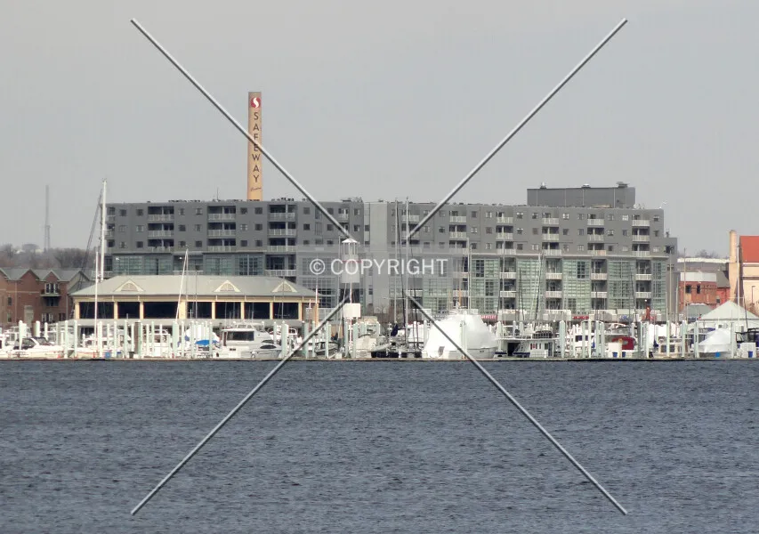 Photo 061-325-719