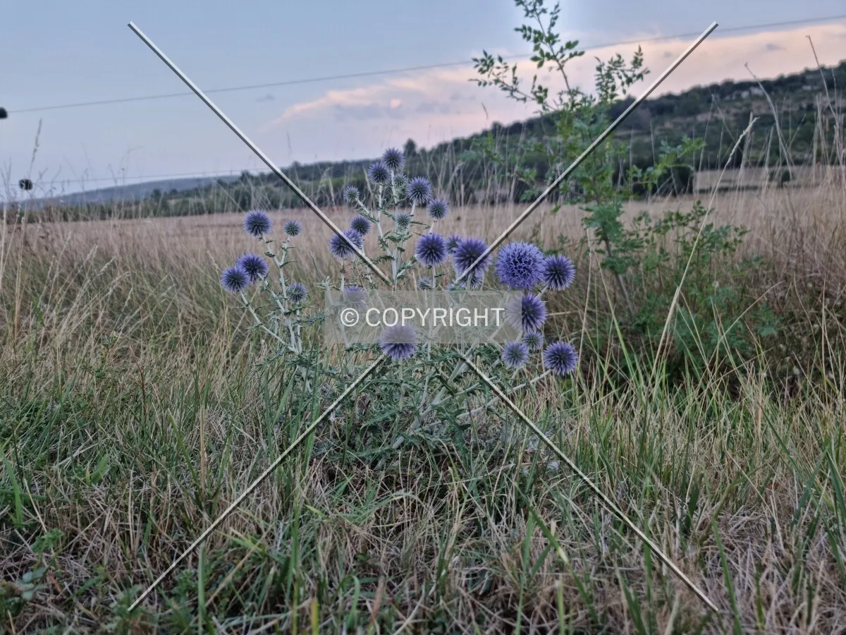 Photo 614-417-734
