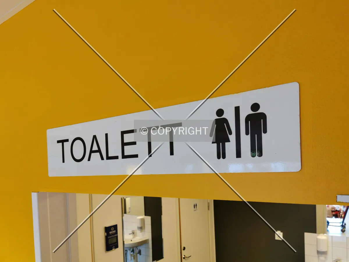 A mixed gender toilet