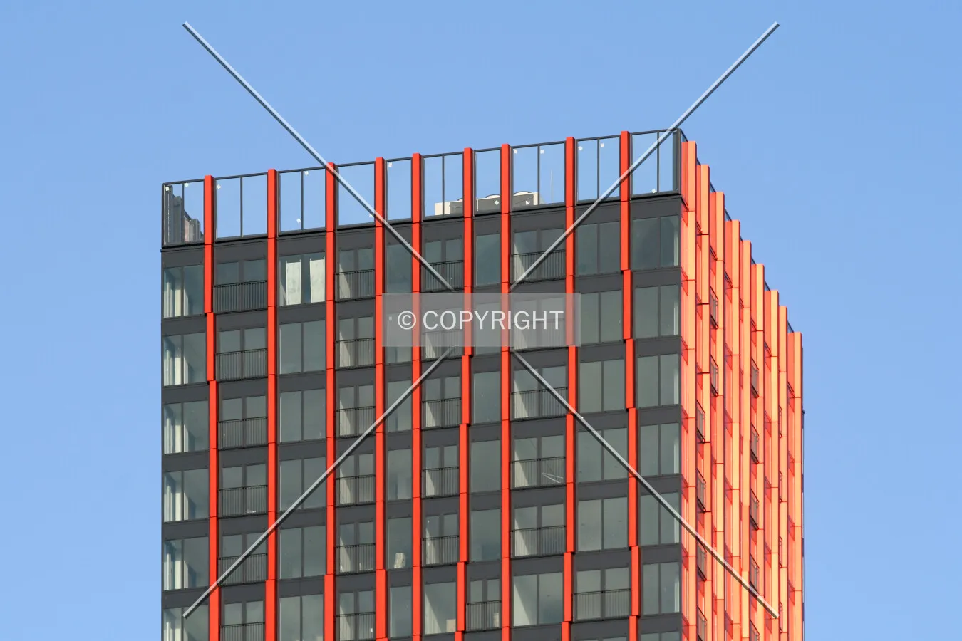 View of the top