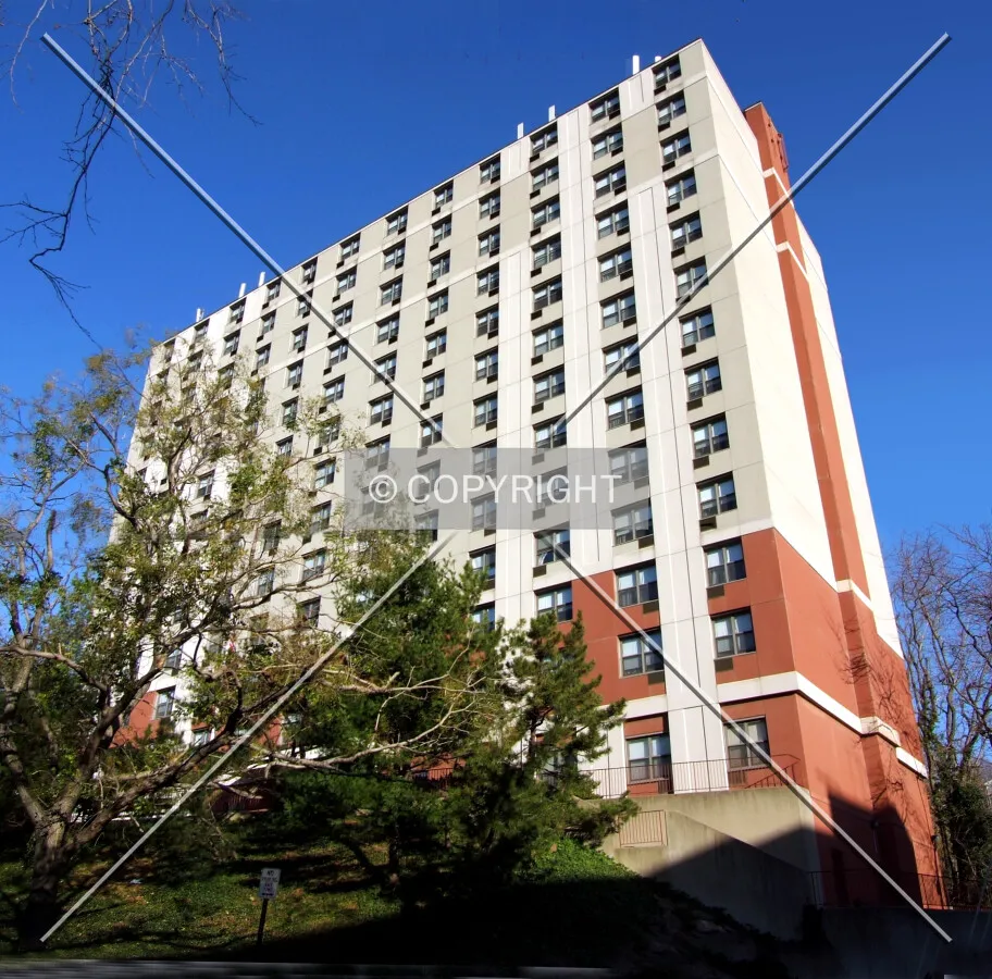 View from the south