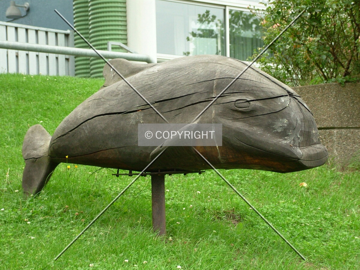 Wood-carved dolphin sculpture ornates gardened area behind the building