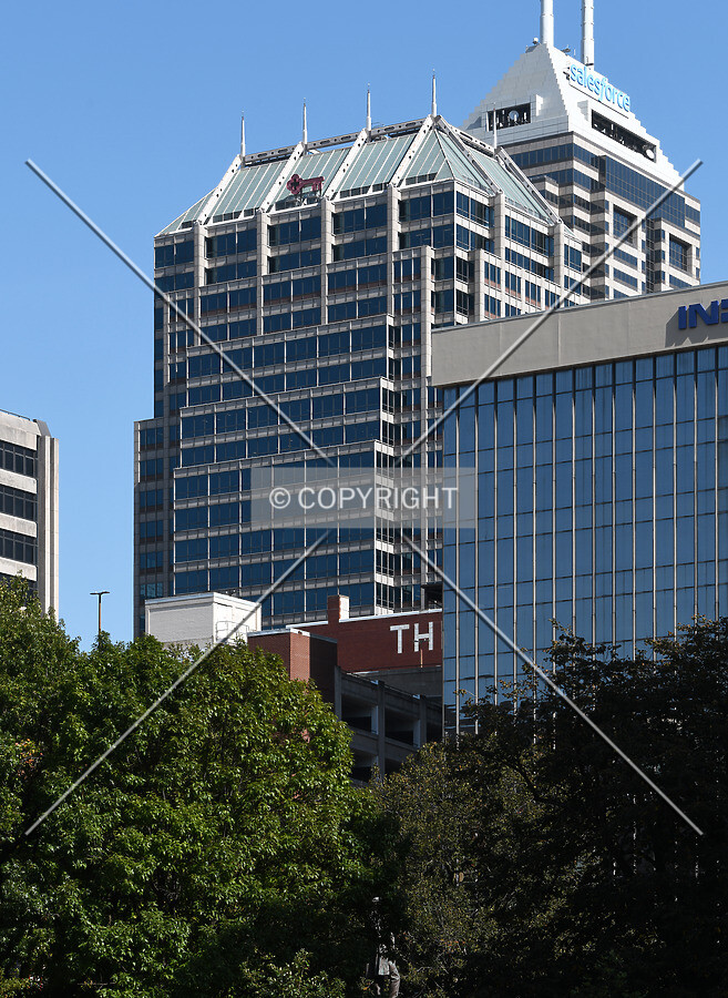 View from the southwest
