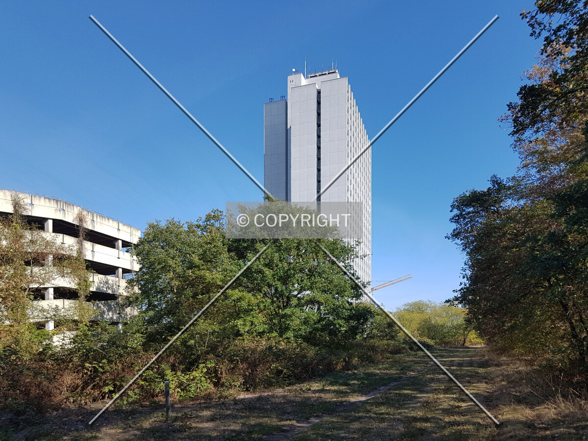 Photo 006-164-851