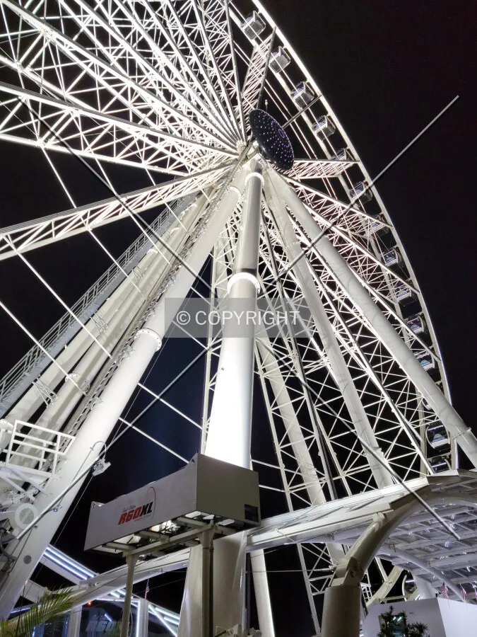 Looking up at night; June 1, 2021