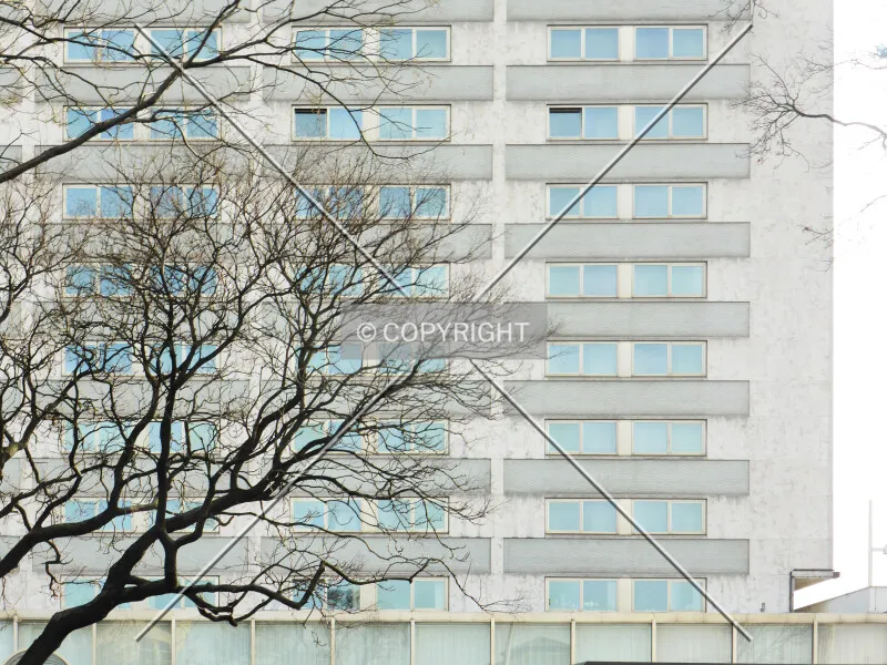 Photo 616-805-084