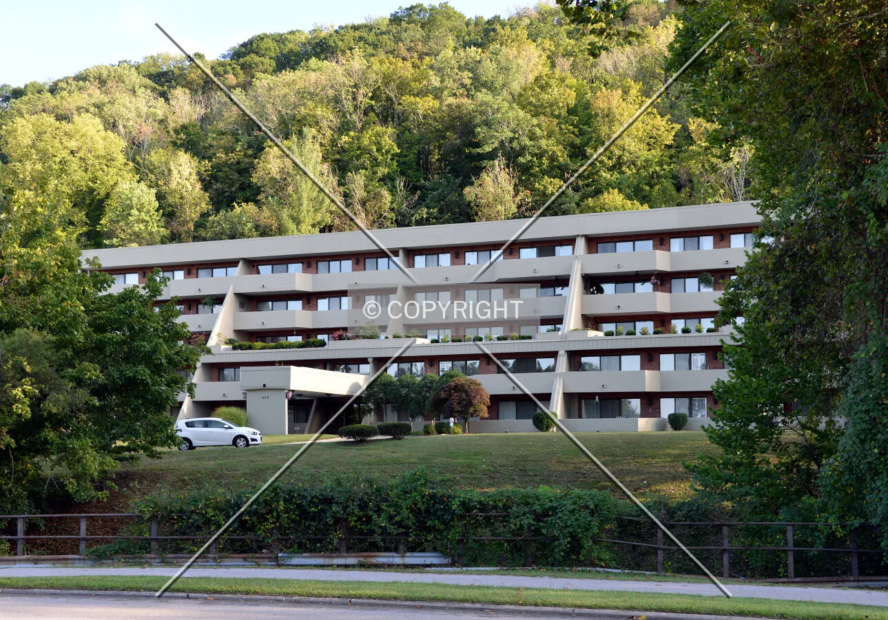 View from the northwest