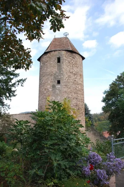 Photo 616-833-151