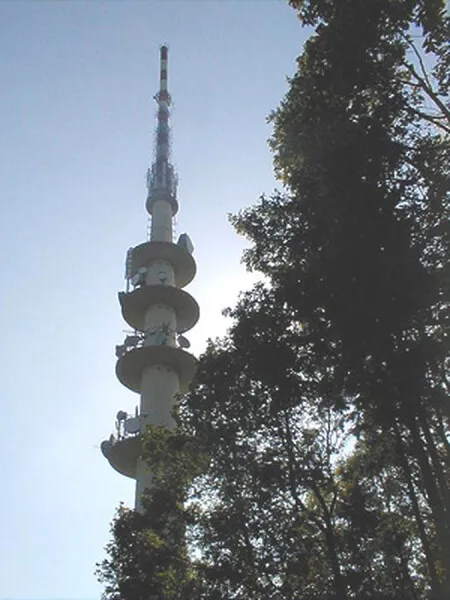 Photo 617-028-867