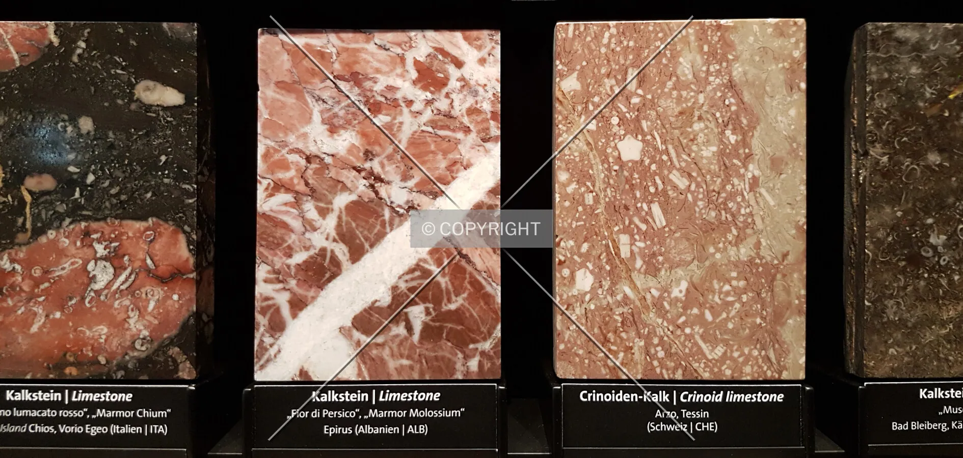 Examples of limestone