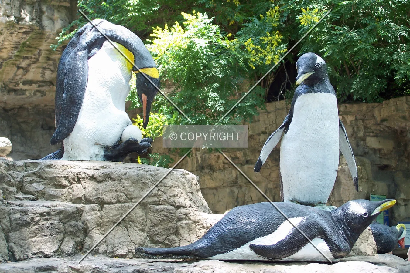 Penguin sculptures