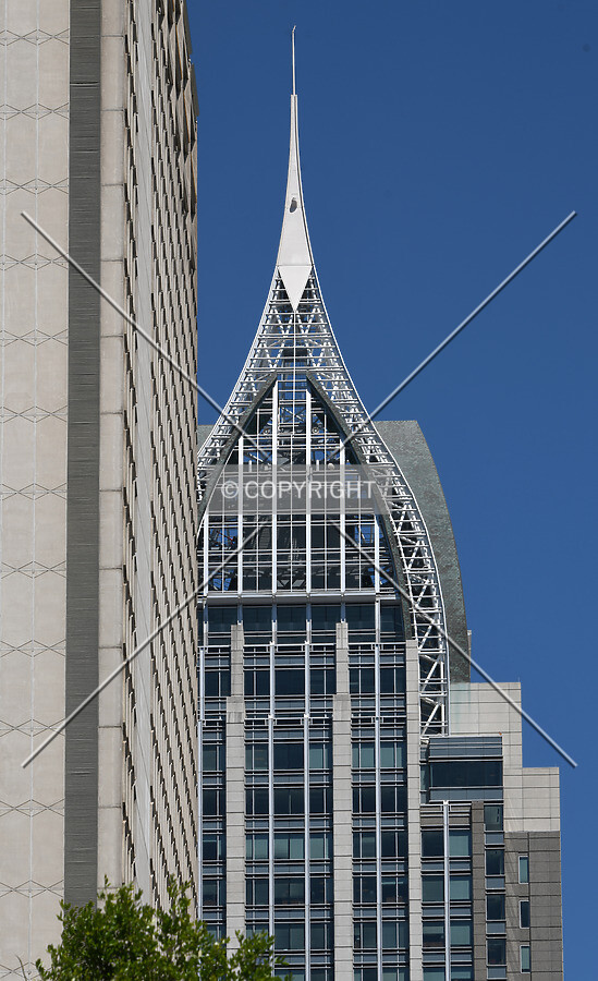 View from the southwest