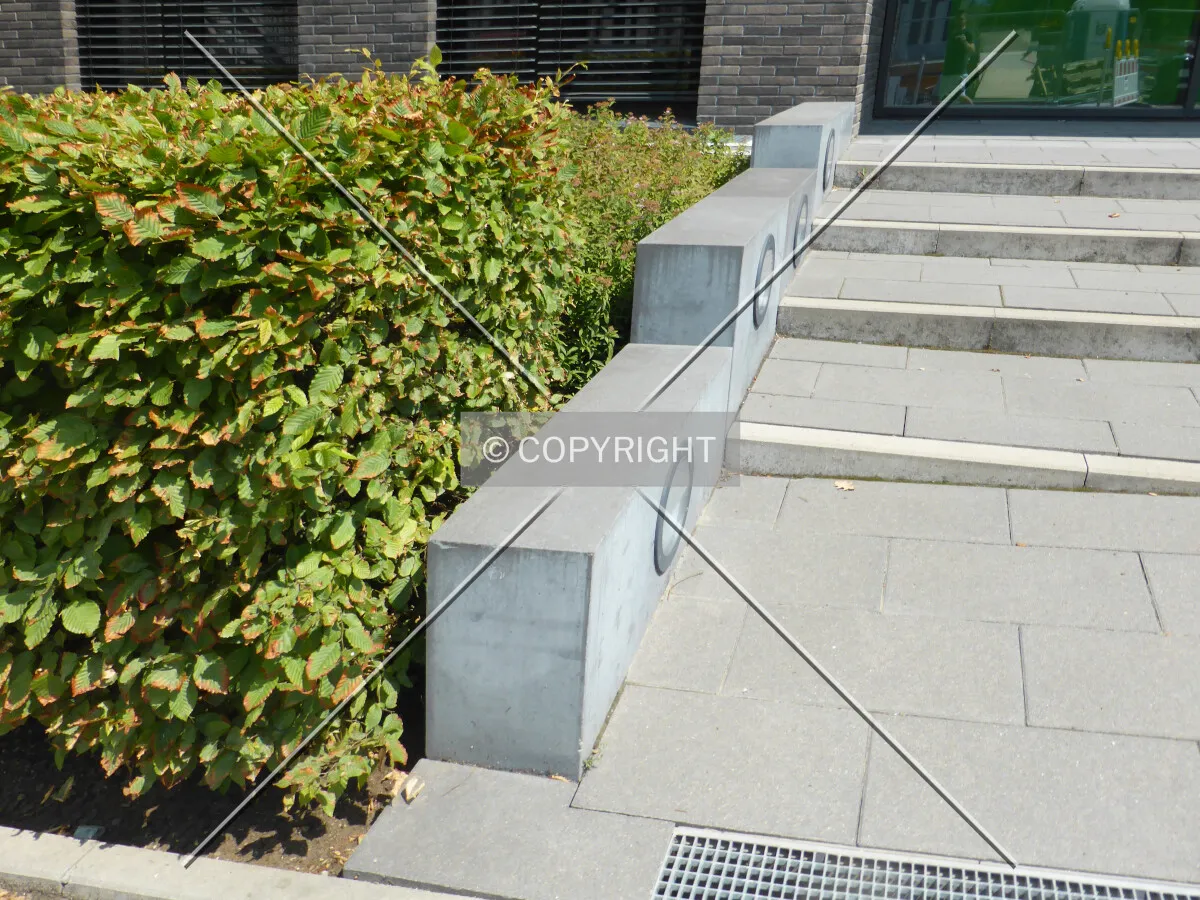 Photo 619-083-962
