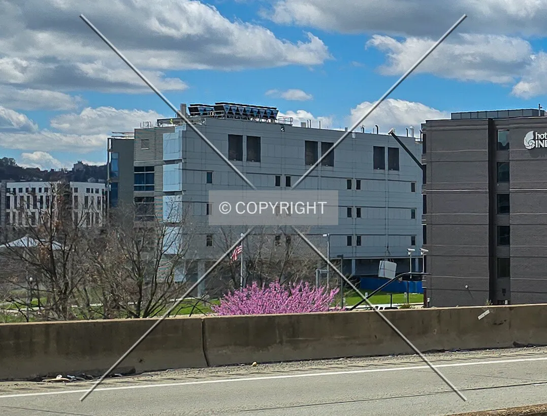 From the northeast, April 16, 2025