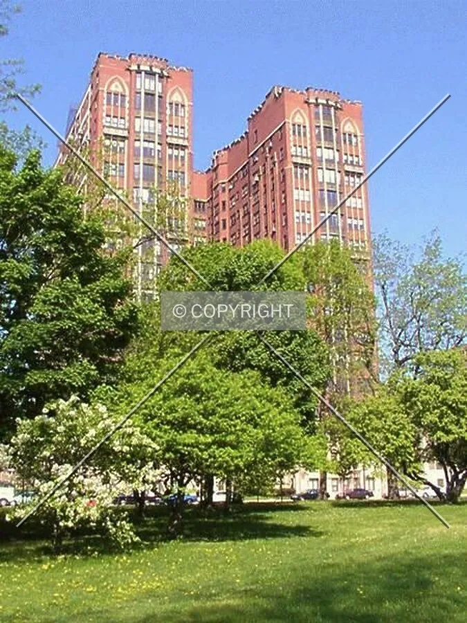 View from Jackson Park