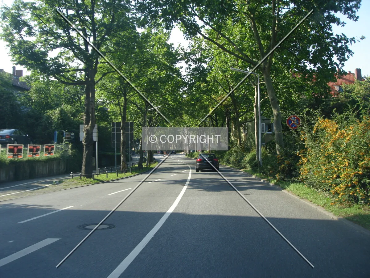 Photo 620-111-764