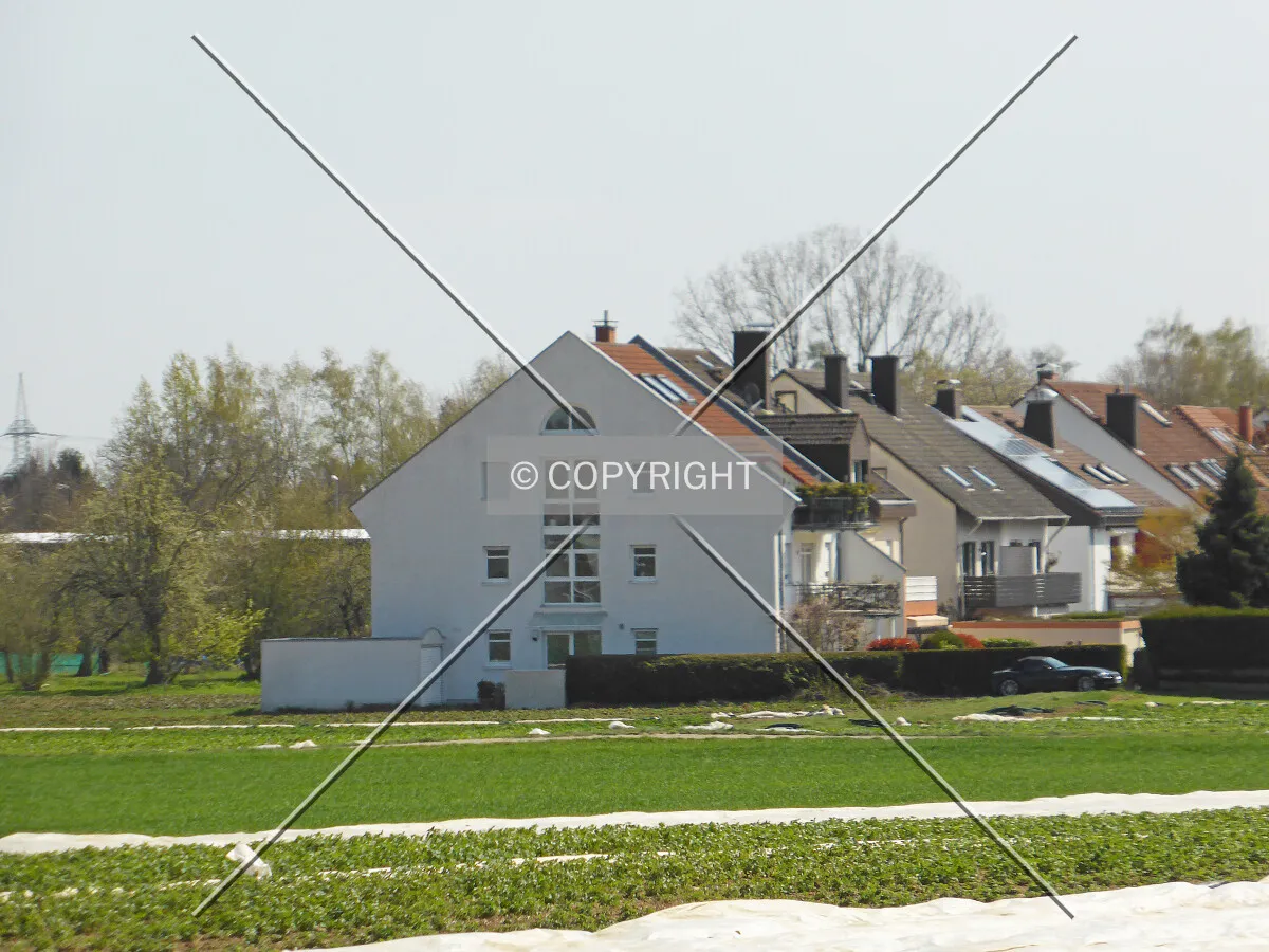 Photo 620-208-462