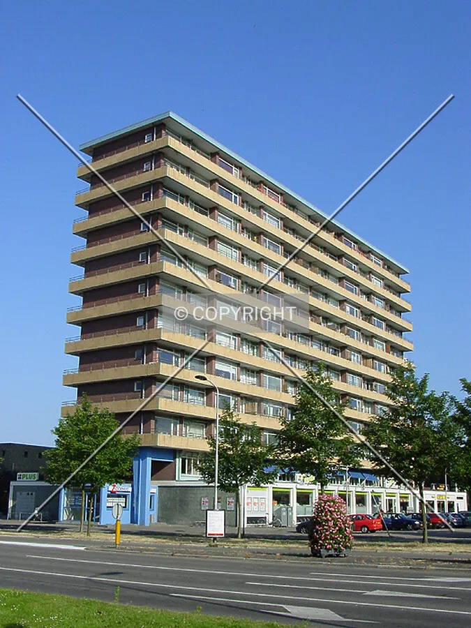 View from Van Foreestweg