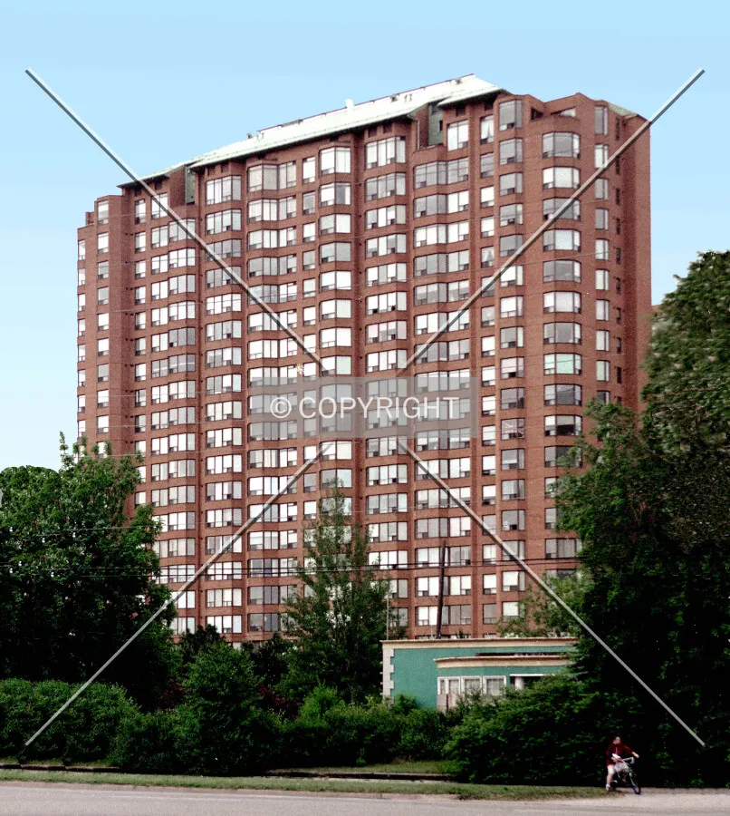 View from the south