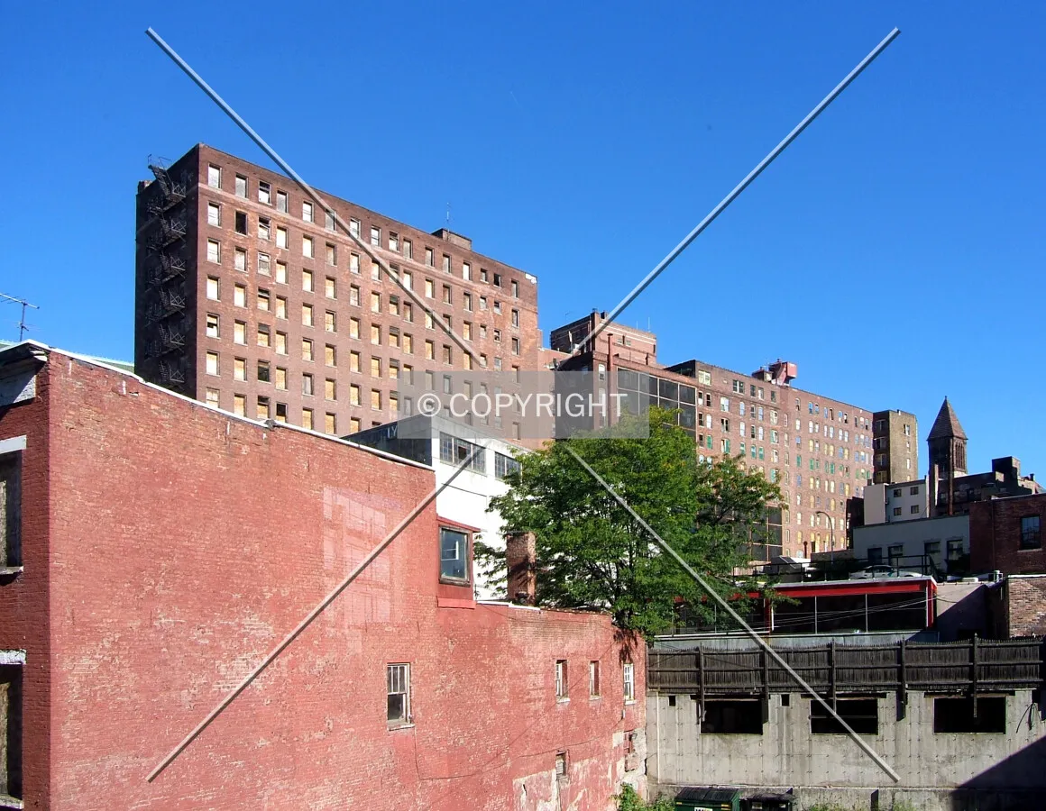 View from the southeast