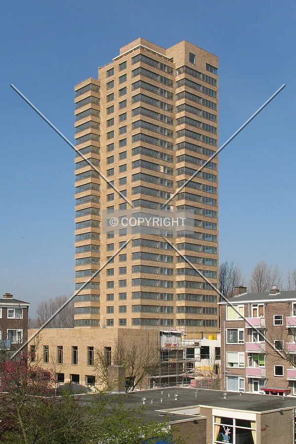 View from the south