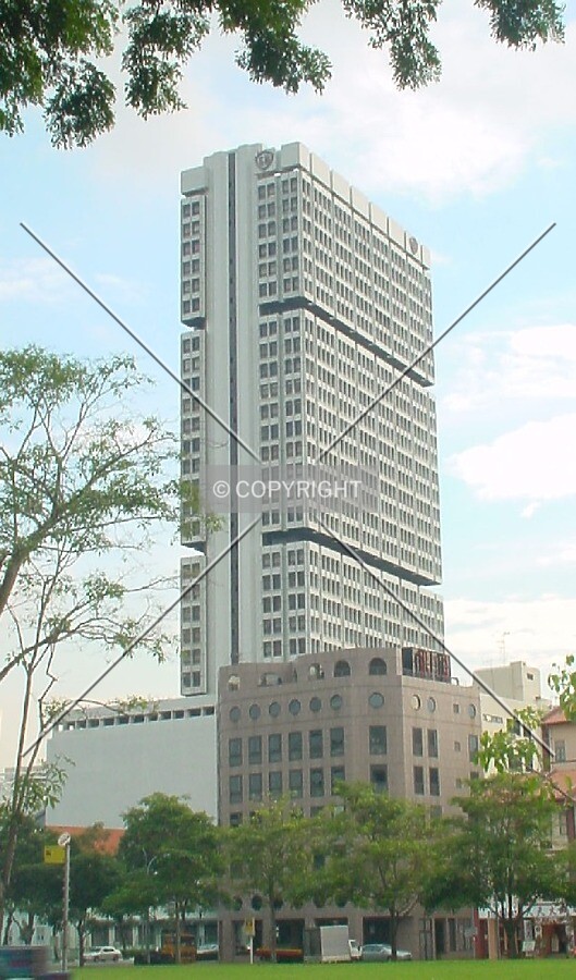 View from the north