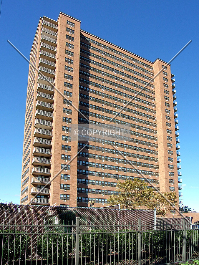 View from the southeast