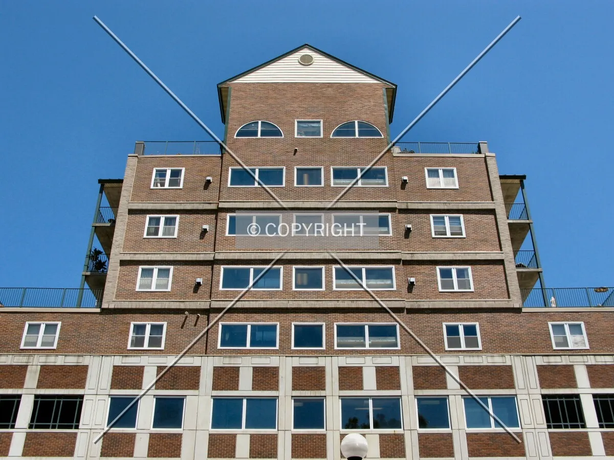 Looking up from Cameron Park