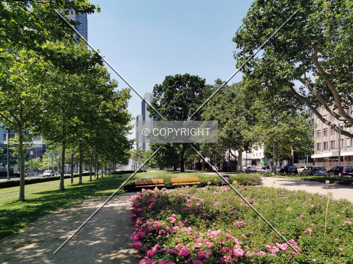 Friedrich-Ebert-Anlage in Frankfurt
