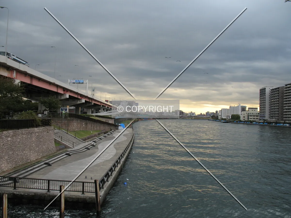 Photo 622-215-488